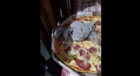 Pizza com pano de chão dentro da embalagem