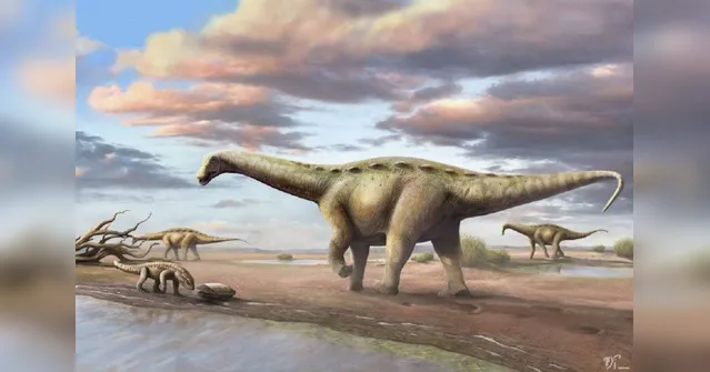 Imagem ilustrativa da notícia Dinossauro pescoçudo 'anão' é achado em cidade paulista