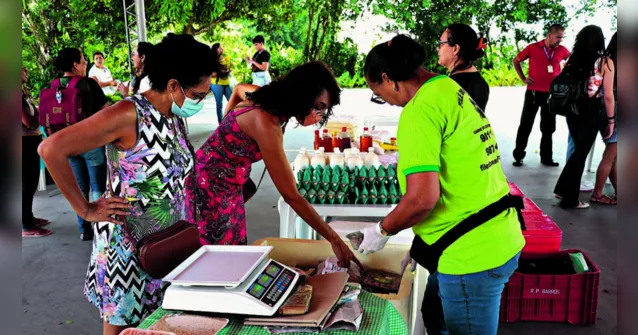Imagem ilustrativa da notícia Feira da Agricultura Familiar movimenta entorno da UFPA