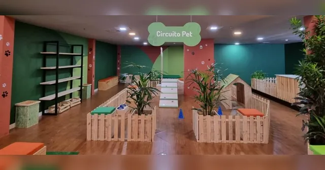 Imagem ilustrativa da notícia Parque para pets se divertirem tem entrada gratuita em Belém