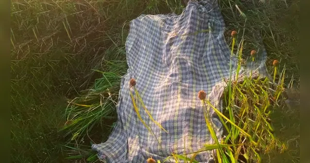 Imagem ilustrativa da notícia Idosa de 108 anos é encontrada nua e morta em matagal