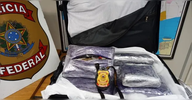 Imagem ilustrativa da notícia PF apreende mala recheada de maconha no aeroporto de Belém