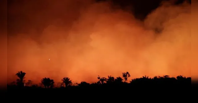 Imagem ilustrativa da notícia Inpe: focos de incêndio na Amazônia são maiores em 12 anos