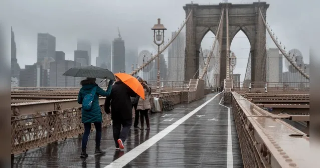 Imagem ilustrativa da notícia Brasileiros enfrentam chuva e frio para votar nos EUA
