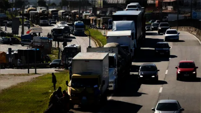 Imagem ilustrativa da notícia Caminhoneiros e taxistas recebem benefícios no sábado (24)