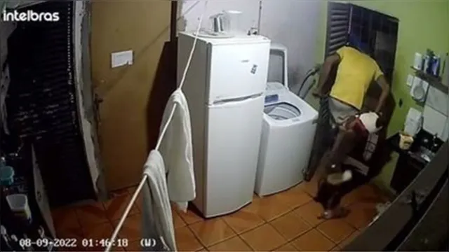 Imagem ilustrativa da notícia Vídeo: ladrão invade casa e exige socorro após ser mordido 