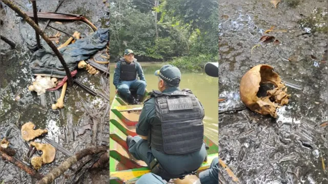 Imagem ilustrativa da notícia Vídeo: Ossada humana é encontrada na Grande Belém