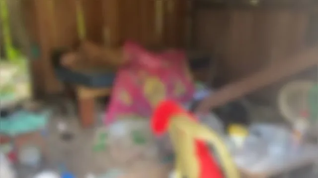Imagem ilustrativa da notícia Vídeo: idoso abandonado passa por dificuldades em Belém