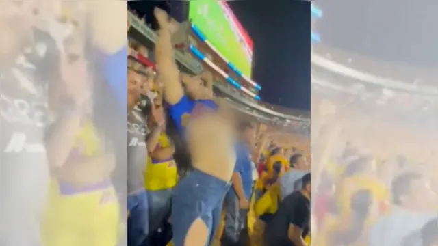 Imagem ilustrativa da notícia Vídeo: torcedora comemora gol mostrando os seios em estádio