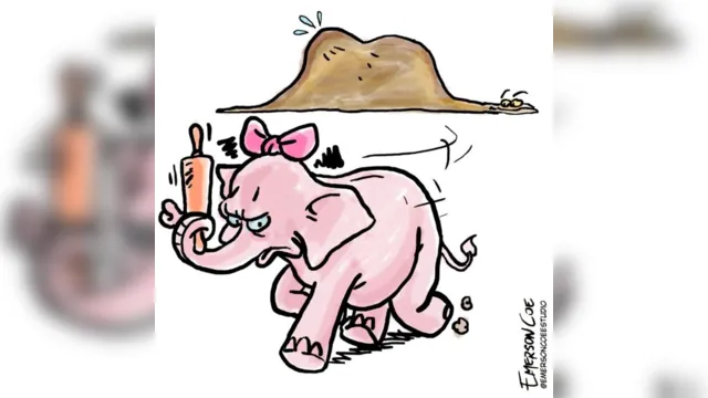Imagem ilustrativa da notícia Chapéu , esconderijo ou Jiboia que engoliu o elefante