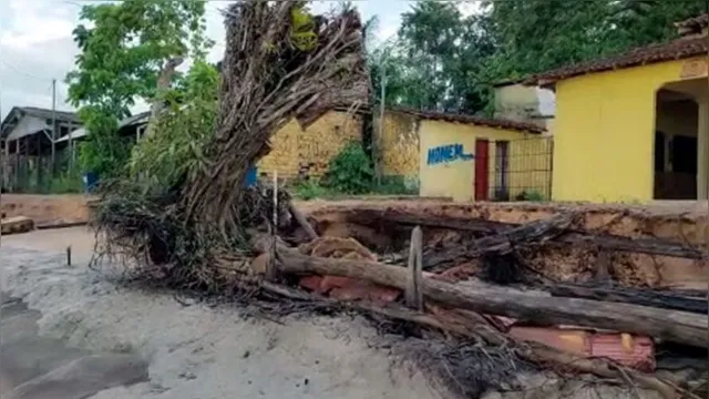 Imagem ilustrativa da notícia Vídeo: Erosão destrói parte da orla e praia em Colares