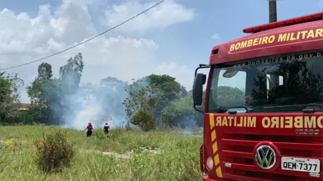 Imagem ilustrativa da notícia Cemitério do Tapanã pega fogo após uso de fogos de artifício