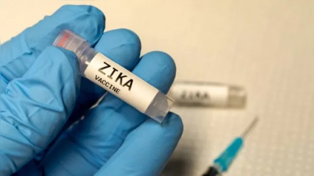Imagem ilustrativa da notícia Zika: vacina é positiva em ratos e diminui microcefalia 
