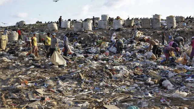 Imagem ilustrativa da notícia Feto sem cabeça é encontrado em aterro sanitário no Pará