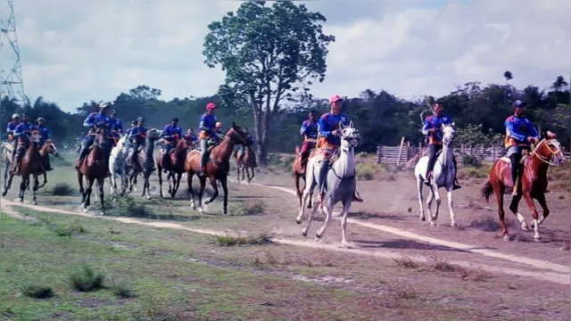 Imagem ilustrativa da notícia Vídeo: Maratona de cavalos movimenta municípios do Marajó