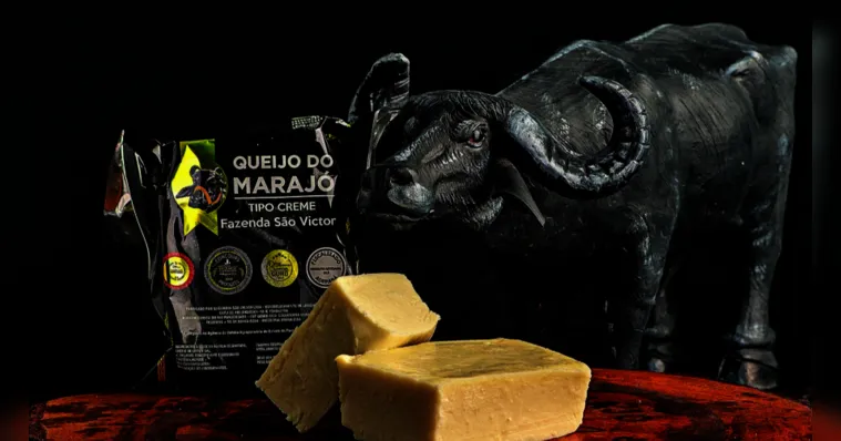 Imagem ilustrativa da notícia Produto paraense está ganhando o mundo