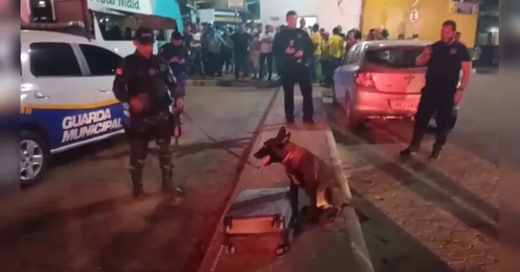 Imagem ilustrativa da notícia Vídeo: Polícia apreende mala cheia de "super maconha"