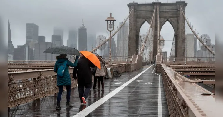 Imagem ilustrativa da notícia Brasileiros enfrentam chuva e frio para votar nos EUA