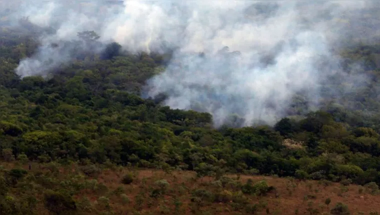 Imagem ilustrativa da notícia Queimadas: Amazônia tem pior setembro dos últimos 12 anos