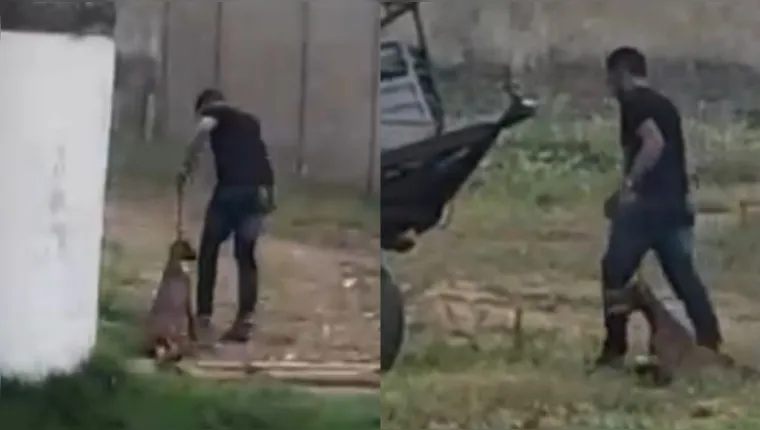 Imagem ilustrativa da notícia Homem é flagrado arrastando e abandonando cachorro no Pará