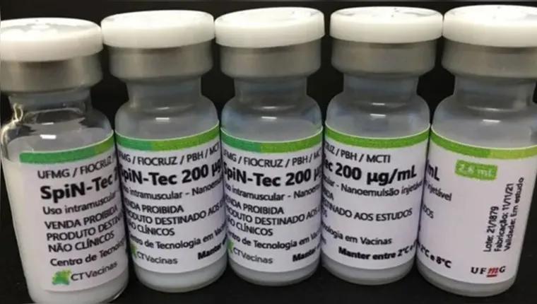 Imagem ilustrativa da notícia UFMG inicia testes da própria vacina contra Covid-19