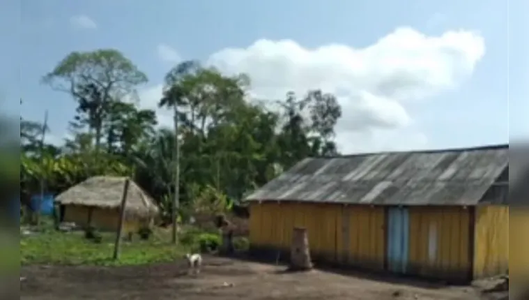 Imagem ilustrativa da notícia Vídeo: indígena mata outro após discussão em tribo no Pará