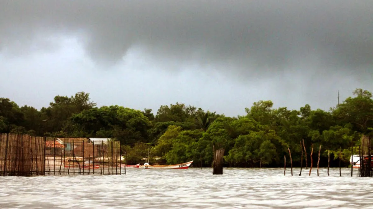 Imagem ilustrativa da notícia A virada de ano pode ser com chuva no Pará. Leia a previsão!