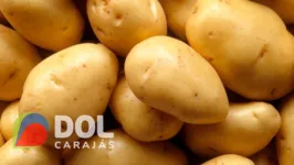 Cientistas acreditam que batatas podem conter a cura para o câncer