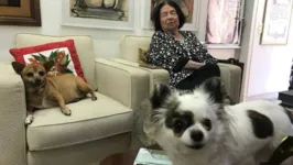 Nélida fez constar em seu testamento que as duas cachorras são as donas dos quatro apartamentos que ela mantém no Rio.