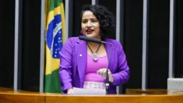 O projeto é de autoria da deputada Vivi Reis.