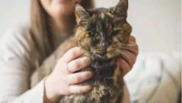 O animal, que se chama Flossie, tem exatos 26 anos e 329 dias, o que equivale a 120 anos humanos