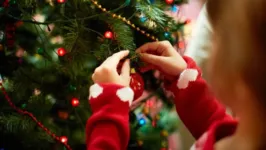 Hora de desmontar a árvore de natal