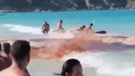 Turistas se desesperam em Arraial do Cabo, no Rio de Janeiro, achando que o local estava sendo atacado por turbarões.