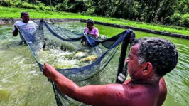 As atividades do agro são fundamentais para a  economia do Estado do país