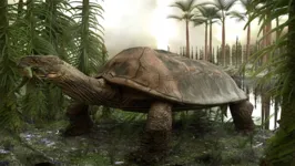 Levianthanochelys aenigmatica é um gênero extinto de tartaruga gigante que viveu há cerca de 70 milhões de anos.