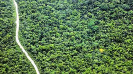 Estado tem ampliado ações de monitoramento e repressão ao desmatamento ilegal