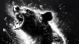 Imagem ilustrativa da notícia Divulgado primeiro trailer eletrizante do Urso do Pó Branco