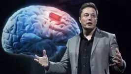 Elon Musk no evento público online da Neuralink nesta quarta-feira (30)