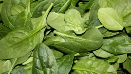 Folhas de espinafre: consumidores precisaram de atendimento após consumo