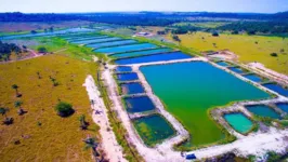 Garimpo legalizado de ouro em Mato Grosso pode ser exemplo para o Pará