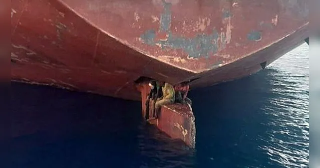 Imagem ilustrativa da notícia Imigrantes viajam escondido em leme de navio por 11 dias