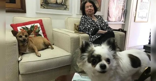 Imagem ilustrativa da notícia Nélida Piñon deixa 4 apartamentos de herança para cachorras