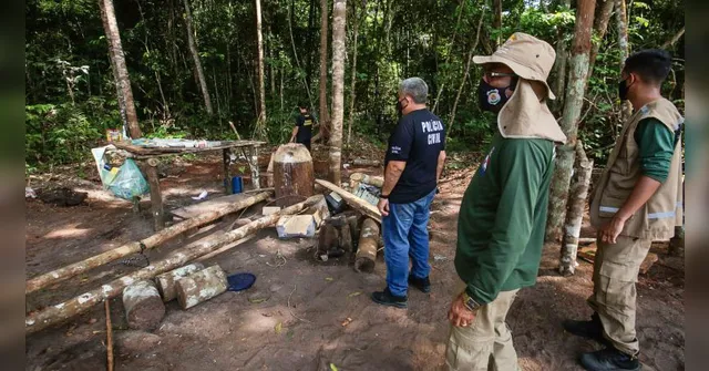 Imagem ilustrativa da notícia Governo do Pará aumenta o rigor na fiscalização ambiental