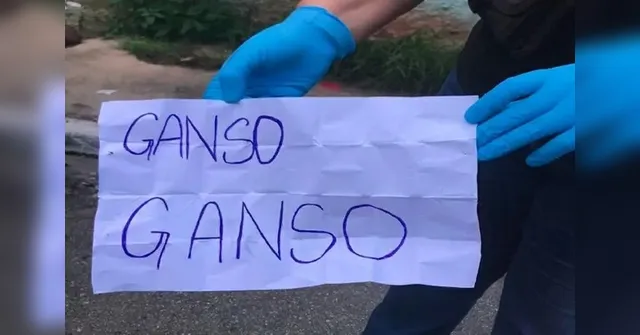 Imagem ilustrativa da notícia Ganso: o que quer dizer recado deixado por PCC 