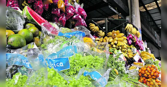 Imagem ilustrativa da notícia Com alta nos hortifrutis nas feiras, o jeito é pechinchar