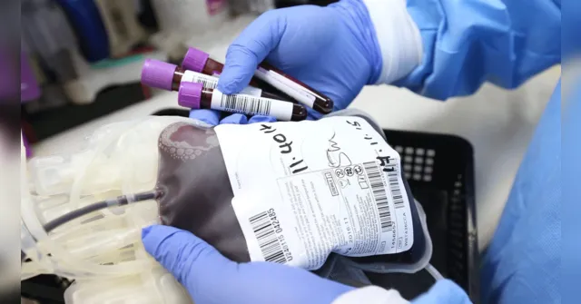 Imagem ilustrativa da notícia Pais rejeitam sangue de vacinados para tratar filho