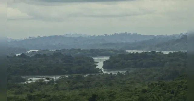 Imagem ilustrativa da notícia Indígenas denunciam Belo Sun por "destruir" a Amazônia