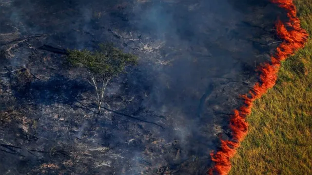 Imagem ilustrativa da notícia Amazônia tem desmatamento recorde em outubro