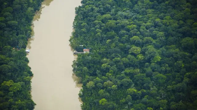 Imagem ilustrativa da notícia Fundo da Amazônia Oriental captou R$ 30 milhões em
2022