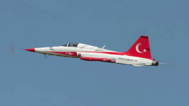 Imagem ilustrativa da notícia Caça da Força Aérea Turca cai após bater em pássaro no ar